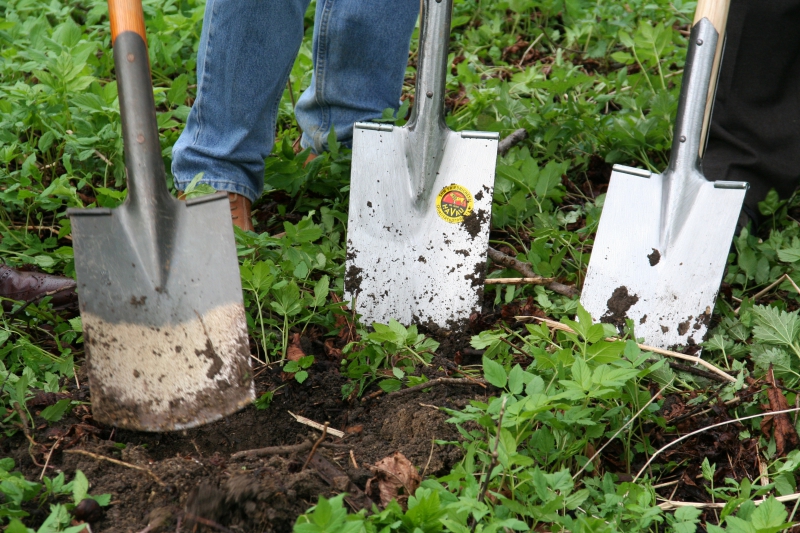 pepiniere-LA VERDIERE-min_work-lawn-flower-tool-green-backyard-1103633-pxhere.com